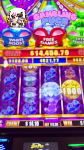 The Kismet Kat Slot Machine PAID! Bonus Win!
Join Robert from *our* gambling channel as *we* hit an amazing $232 jackpot on t...