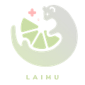 Limealicious Official Merch