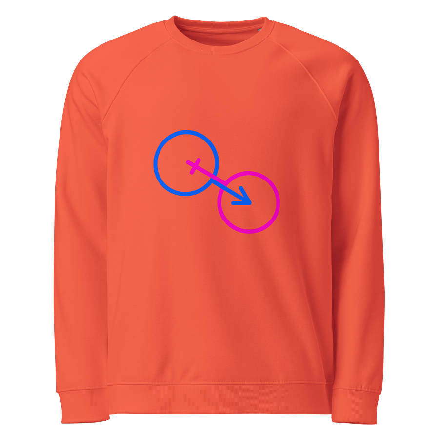 Traditional Relationship Power Organic Raglan Sweatshirt product image (1)