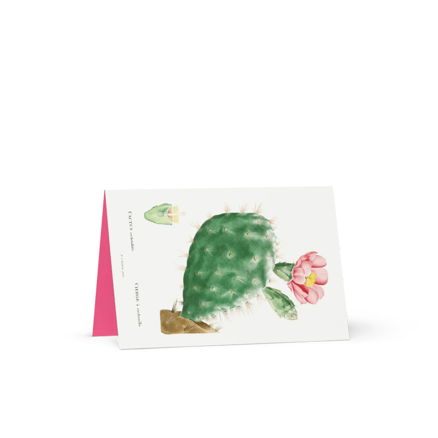 Blooming Desert Greetings product image (6)
