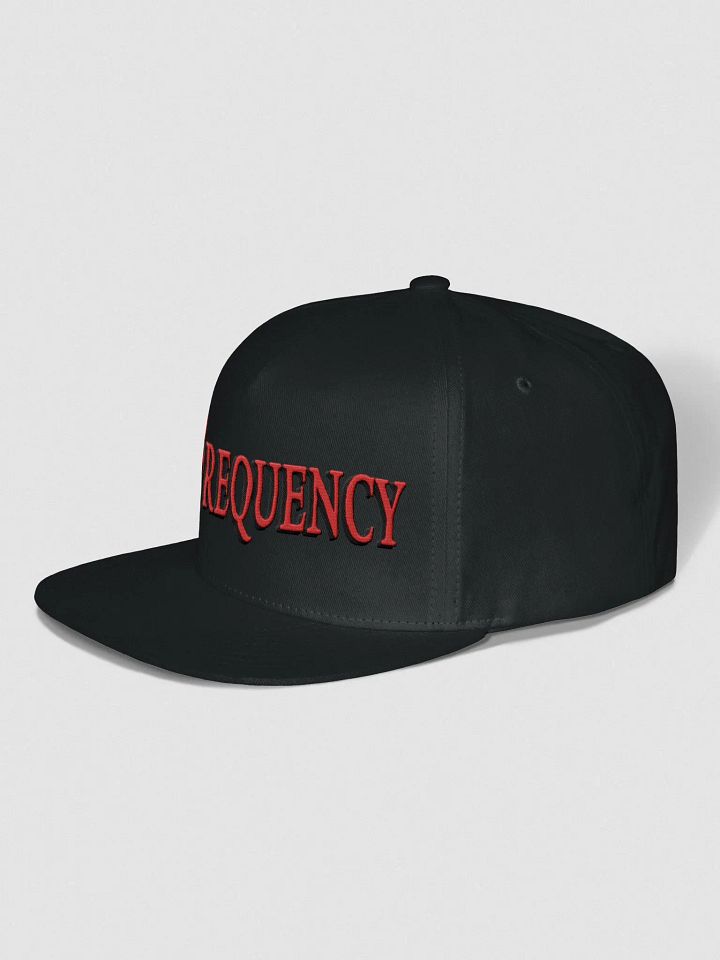 1K Frequency Snap Backs product image (2)