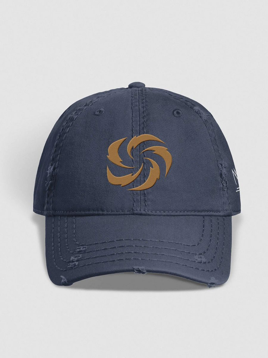 Tampa Bay Storm Distressed Dad Hat product image (18)