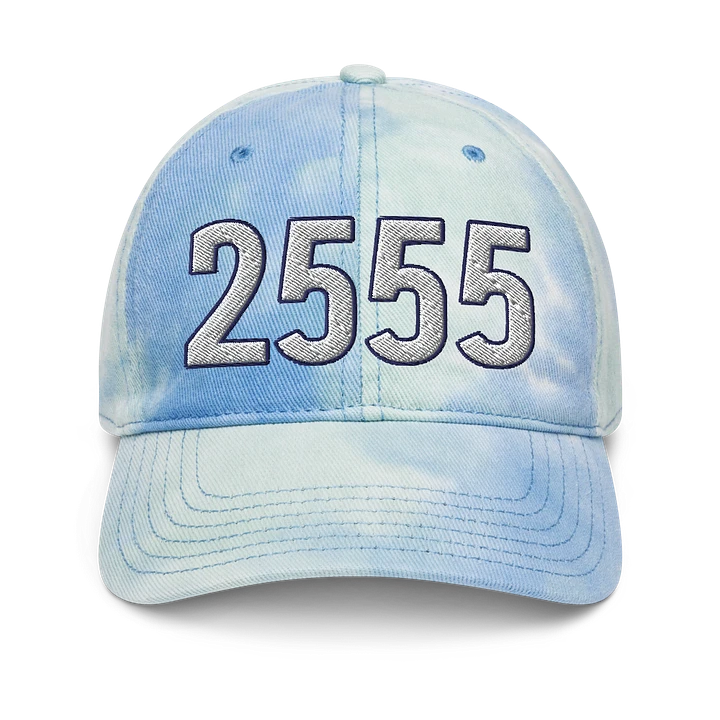 2555 Tie-Dye Dad Hat product image (16)