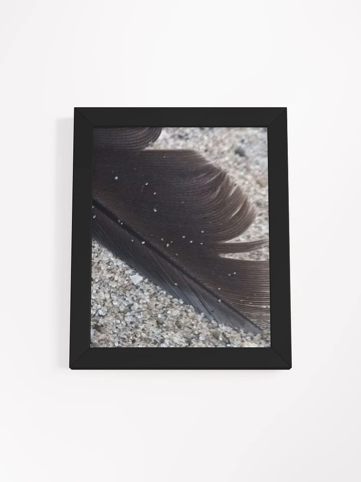 Feather on The Beach Framed Poster product image (6)