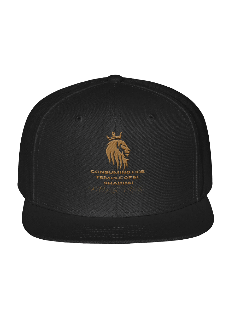 Ministry Logo Cap product image (1)