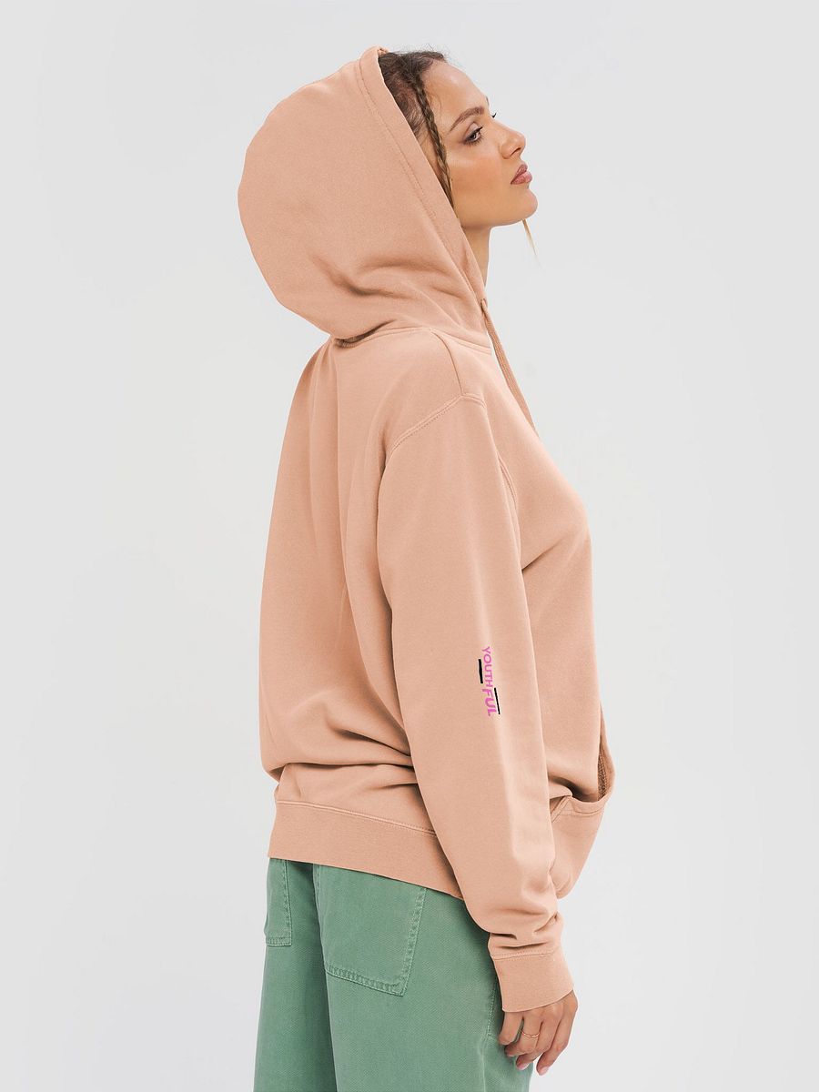 Anatomical Blessing Hoodie product image (5)