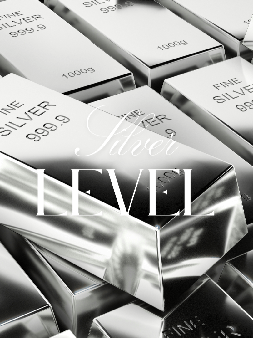 Silver Level - Sponsorship product image (1)