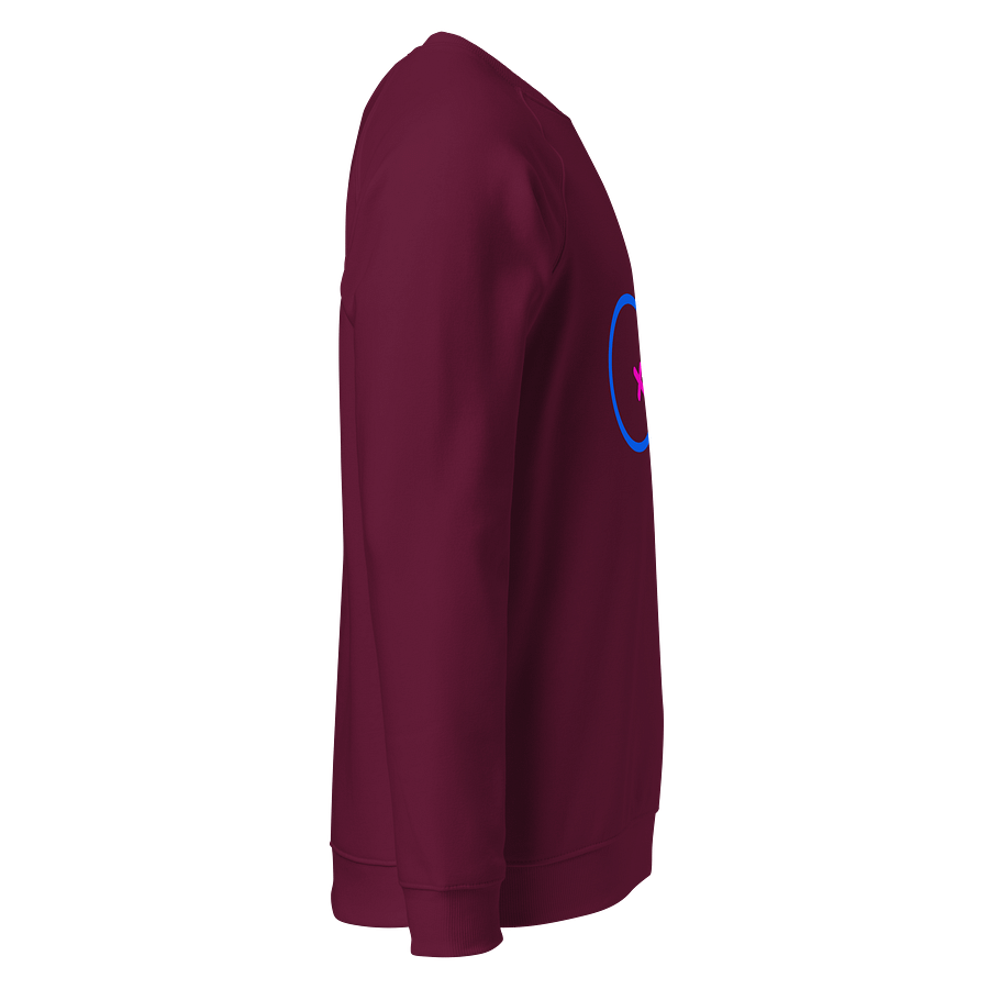 Male & Female Genders Only Raglan Sweatshirt product image (4)