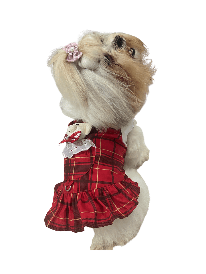 Vestido Pet Ursabela - Modelagem Pet PDF product image (2)