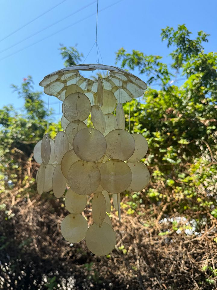 Seashell Wind Chime - Creme product image (1)