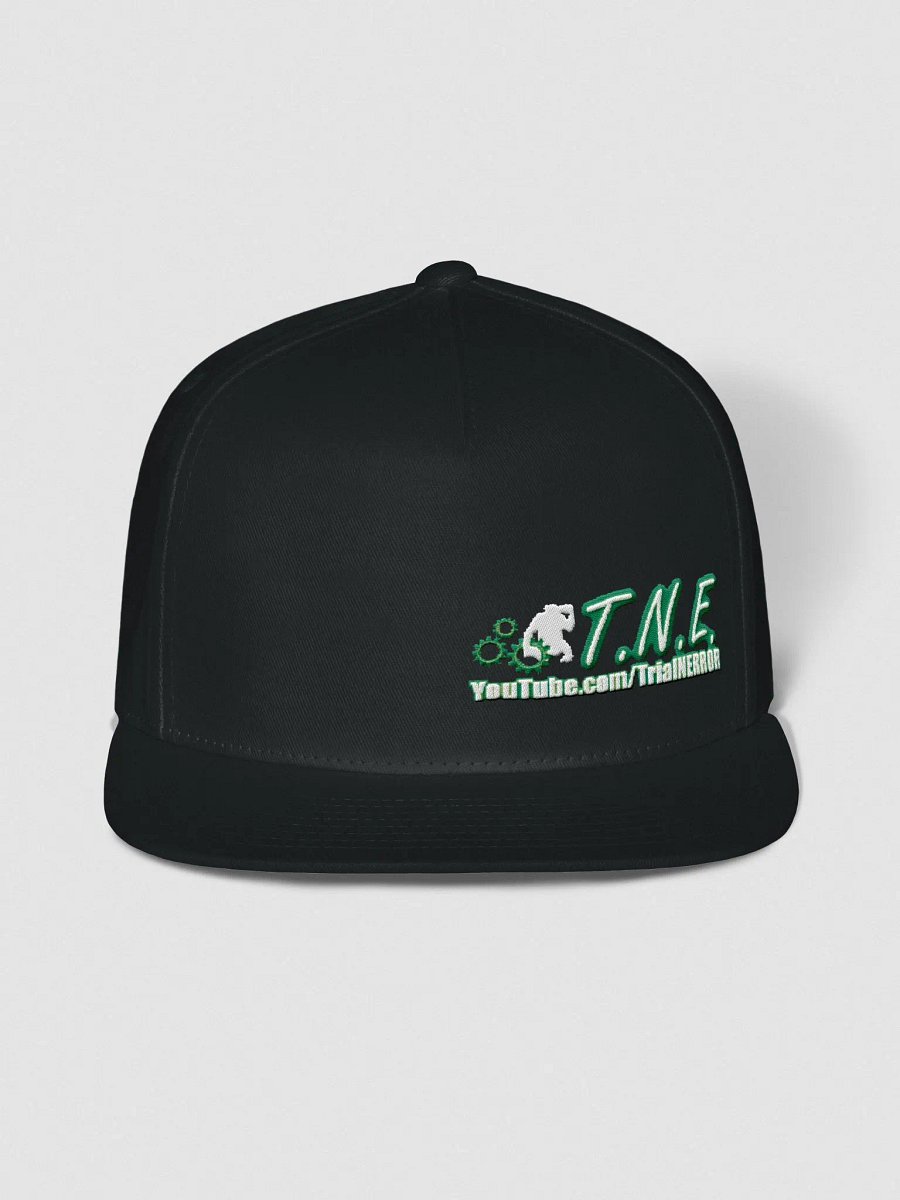 Embroidered TNE Logo Cap product image (1)