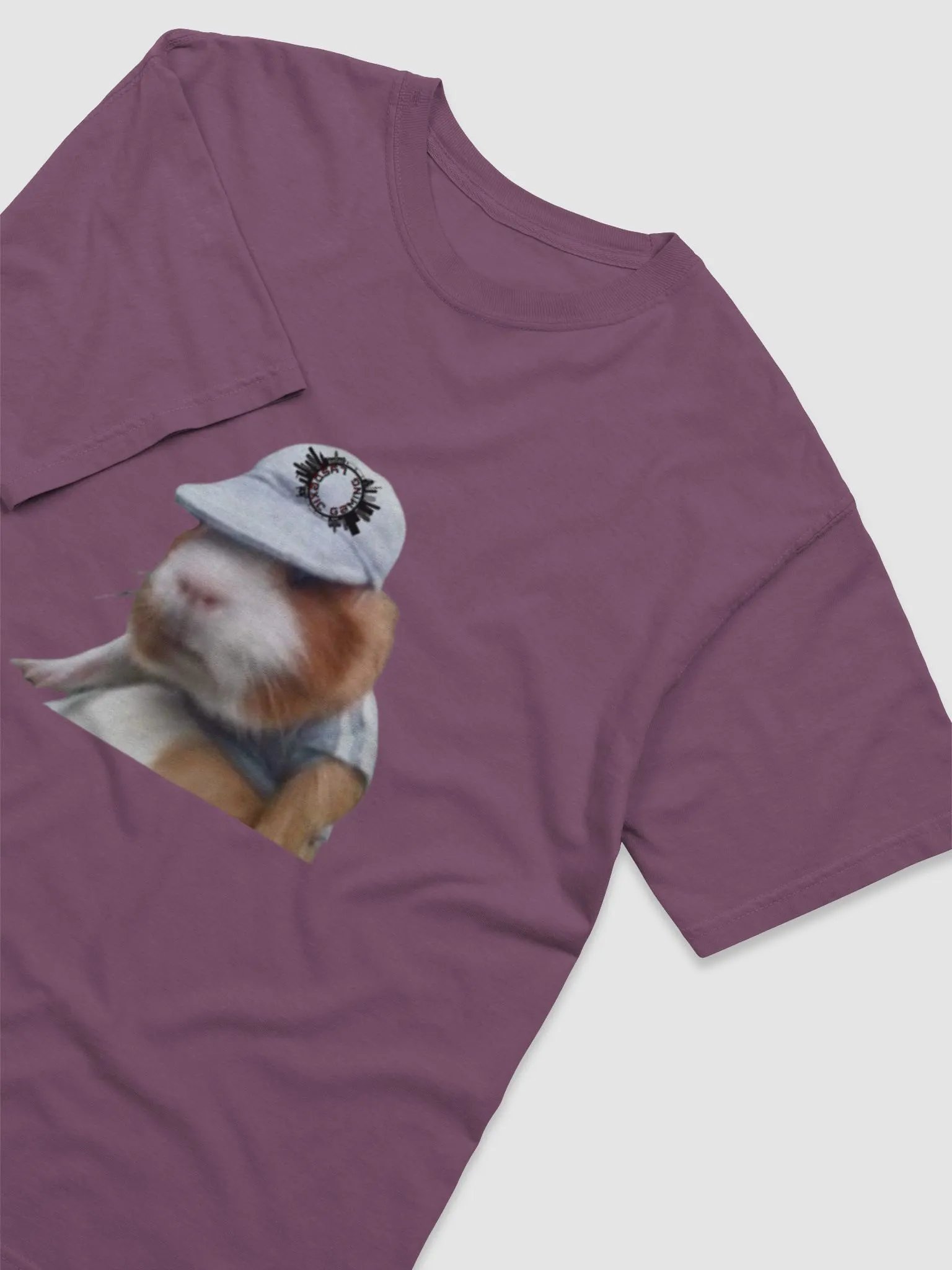 Hamster Lysdexic Gaming Tee product image (7)