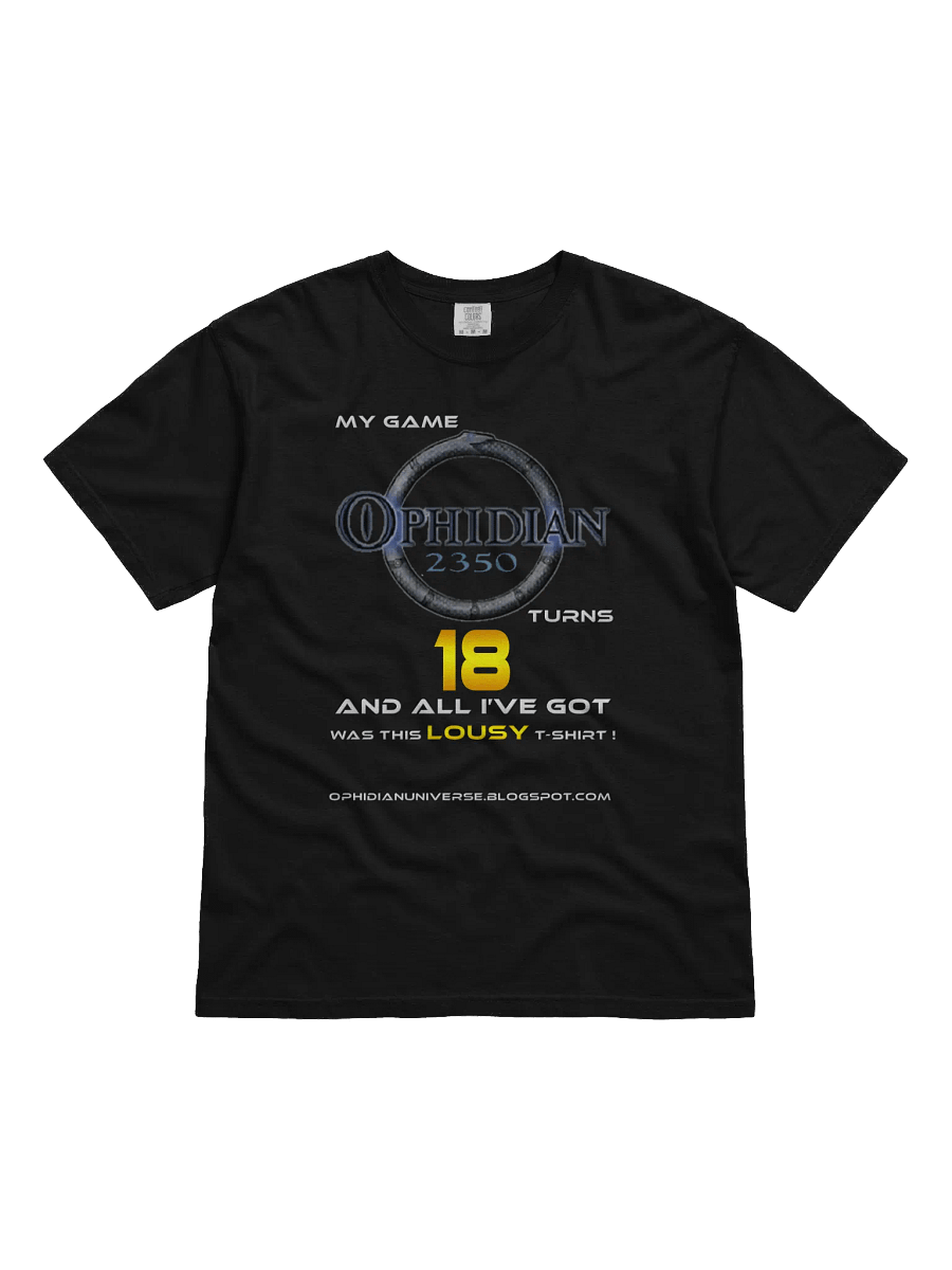 My Game Turns 18 T-Shirt product image (1)