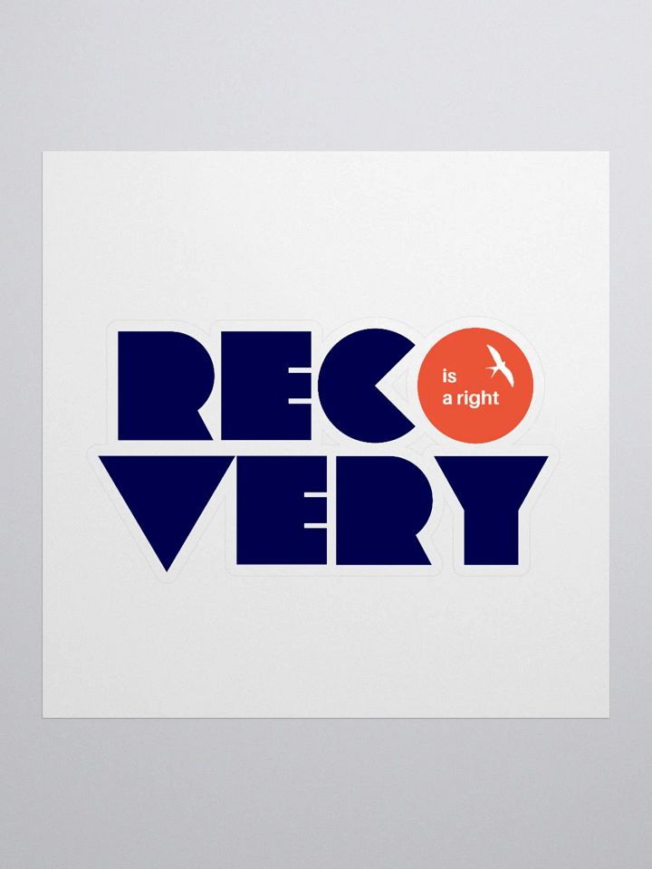 Recovery is a Right product image (3)