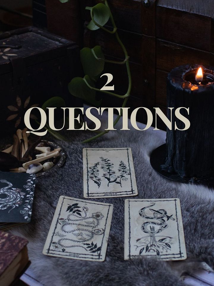 2 Question Reading product image (1)