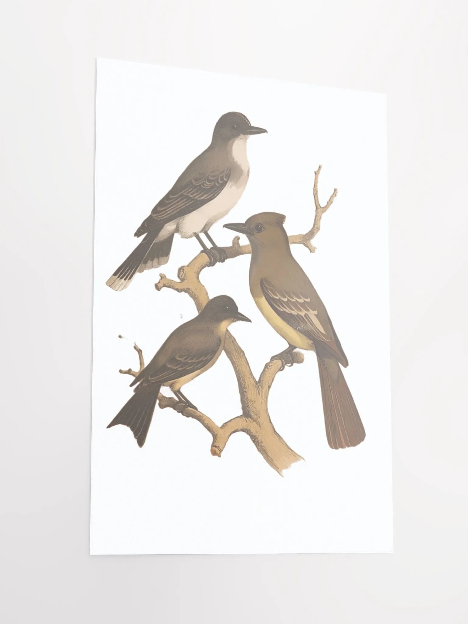 BIRDS IN WINTER product image (2)