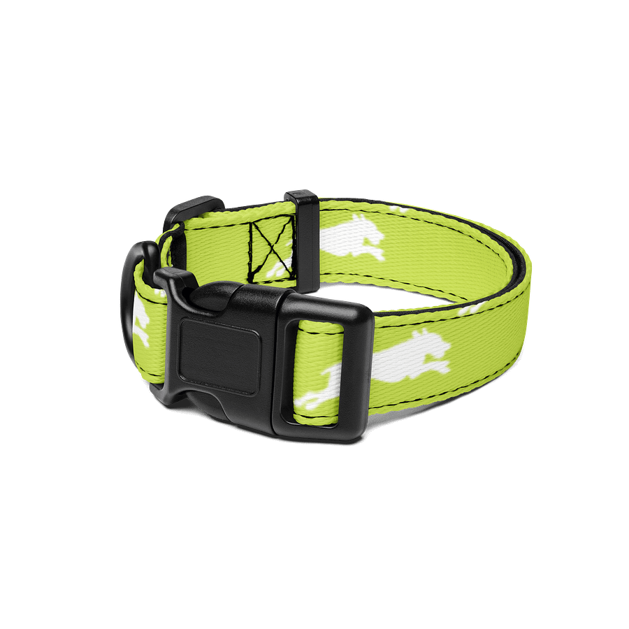 NEW Lemon-Lime Collar product image (1)