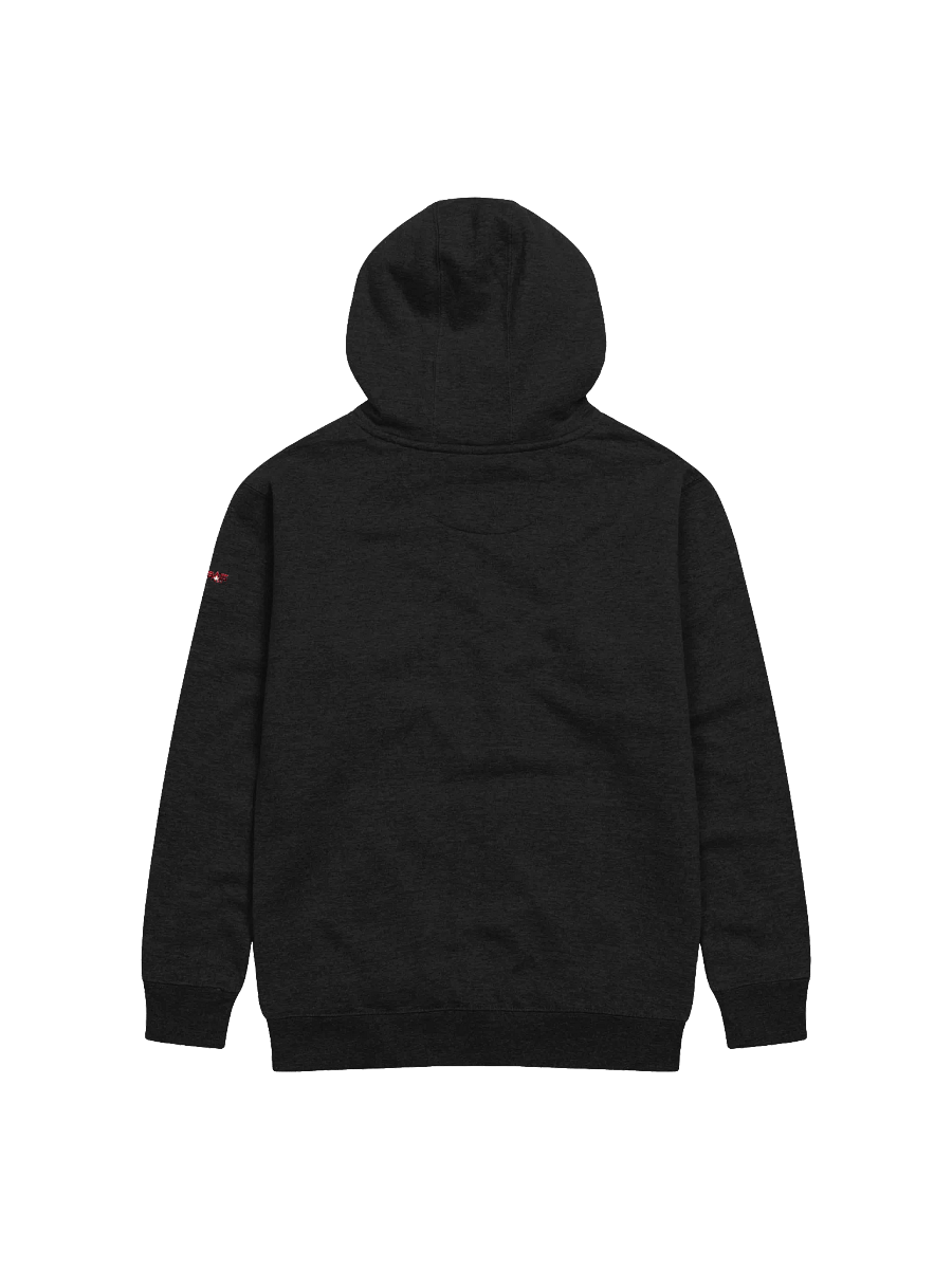 🎧 Rhythmic Vibes - Premium Unisex Hoodie product image (2)