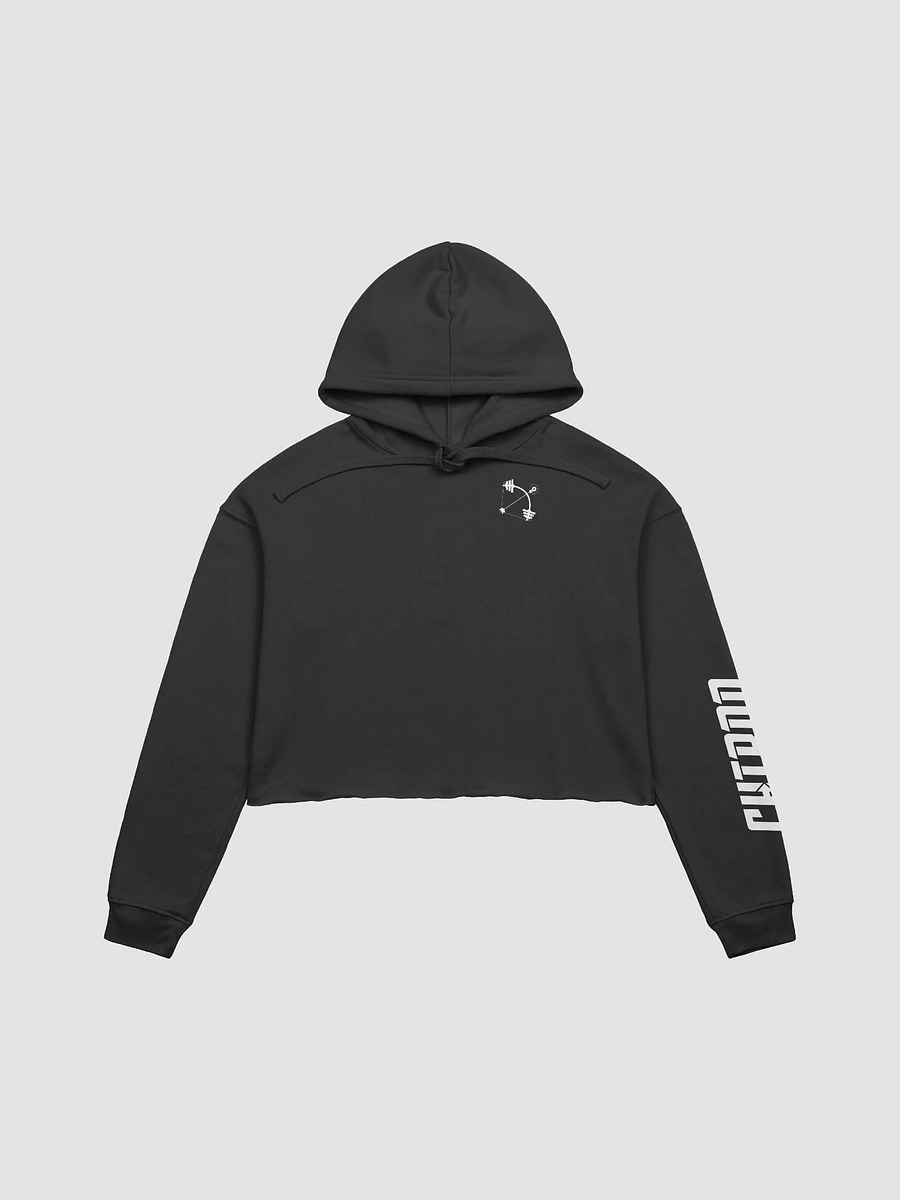 The Mini Logo Cropped Hoodie product image (2)