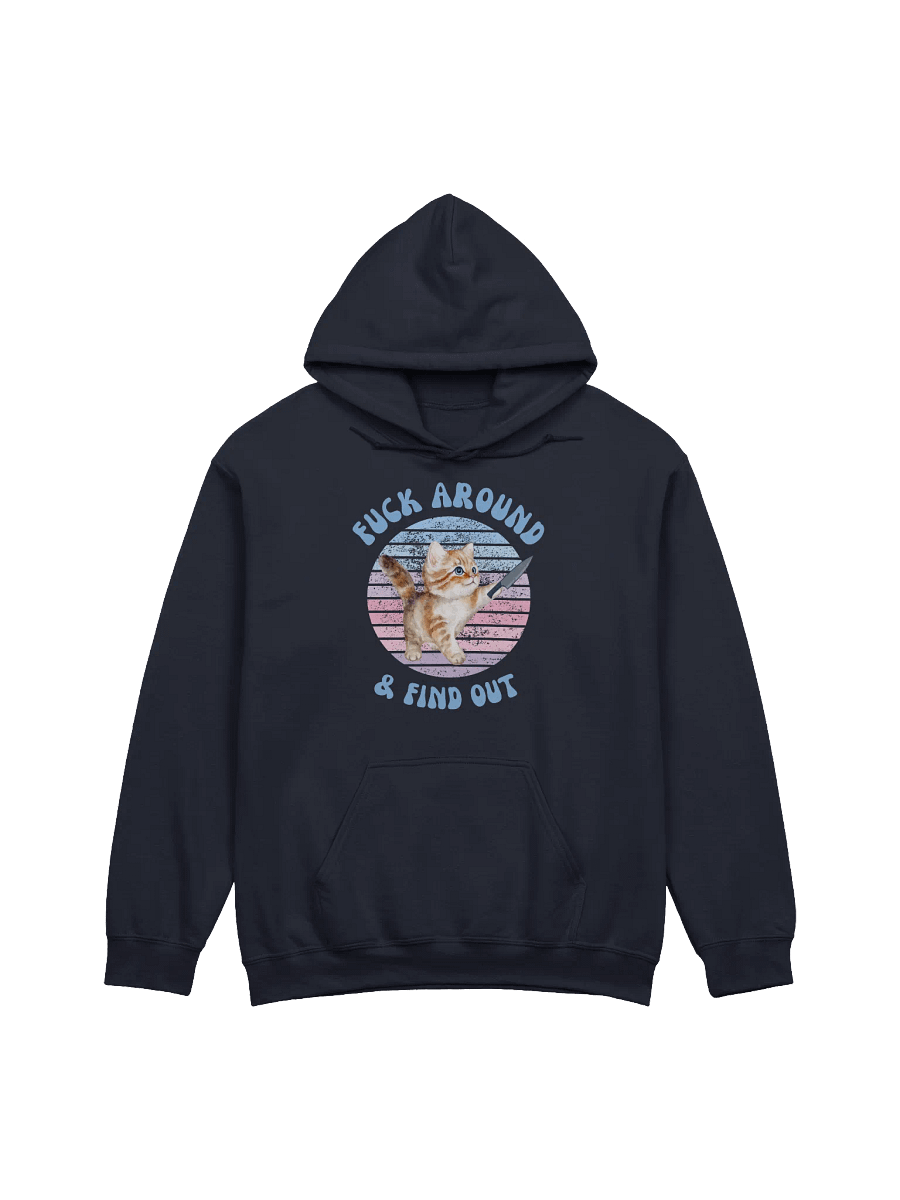 Fuck Around And Find Out Hoodie product image (1)