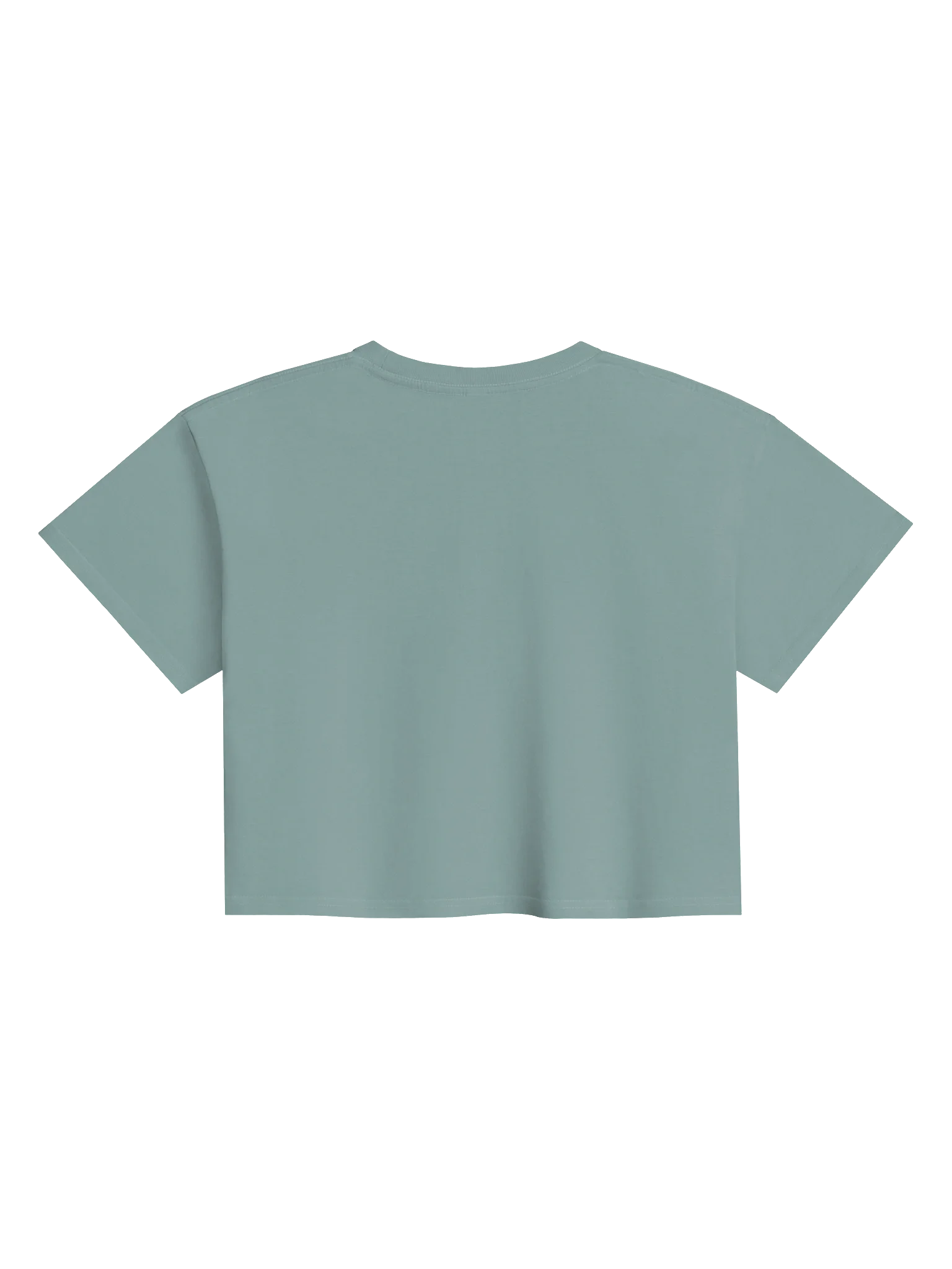 Flame Fusion Women's Crop Top product image (11)