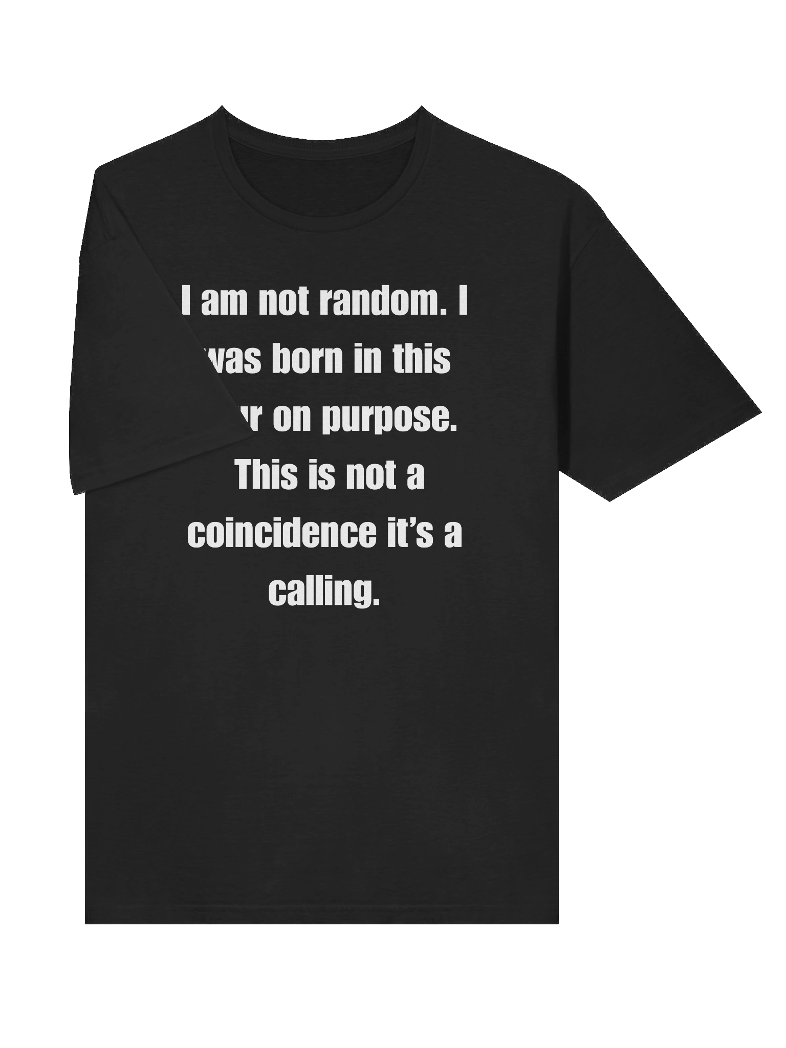 Reformation Generation Gildan Soft Style Unisex Tee product image (5)