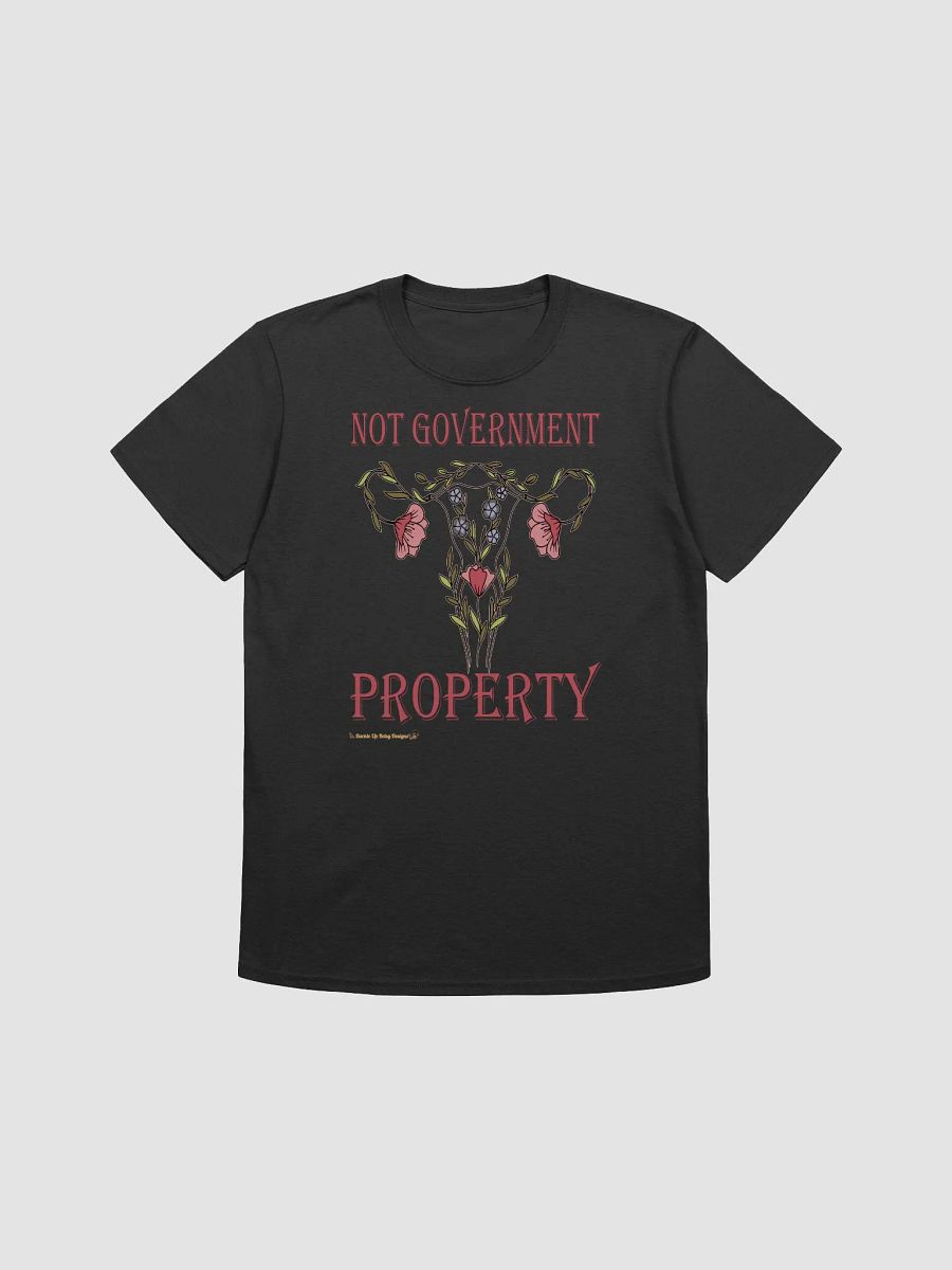Women's Rights - Not Government Property product image (3)