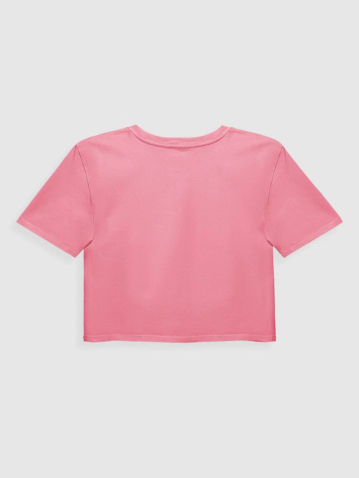 GeminiTammy Premium Crop Top Two product image (2)