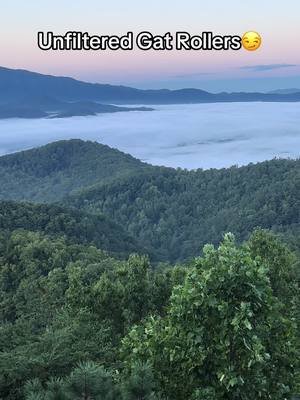 So beautiful out here! #gat #carsoftiktok #unfilteredcarcrew #static #airlift 