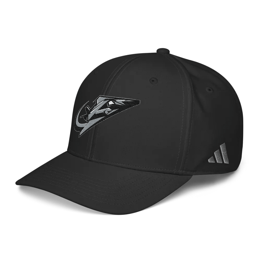 Virginia Beach Nighthawks Adidas Performance Hat product image (11)