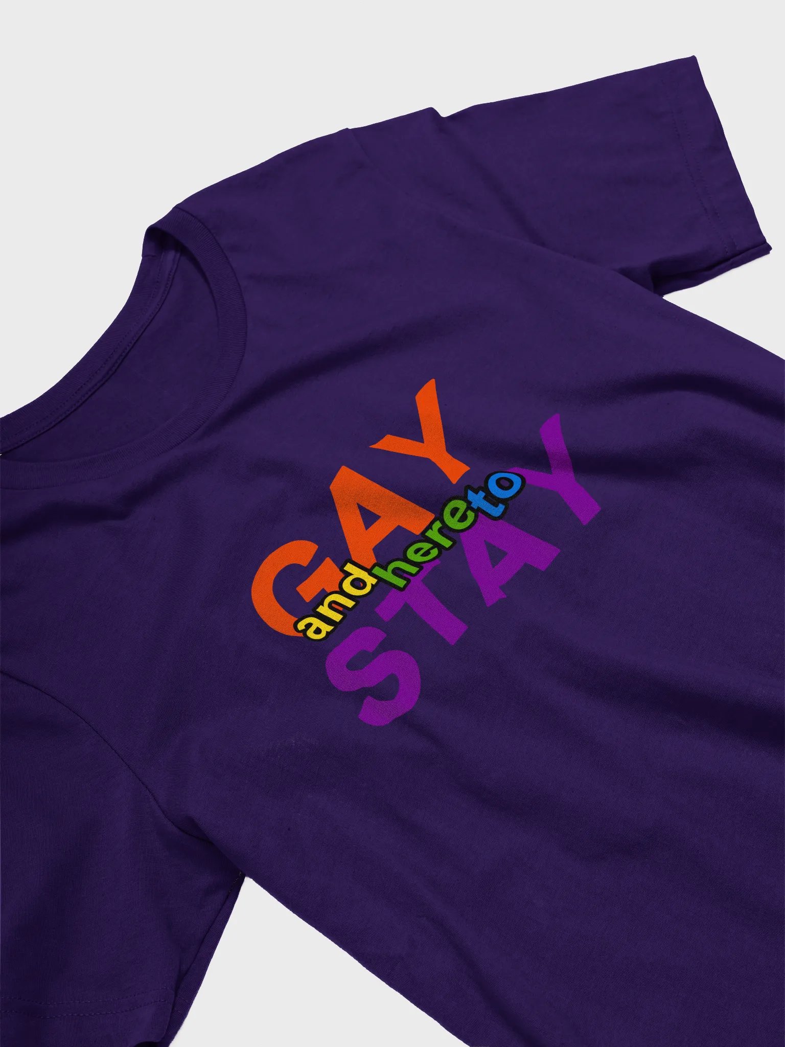 gay and here to stay (rainbow) t-shirt product image (3)