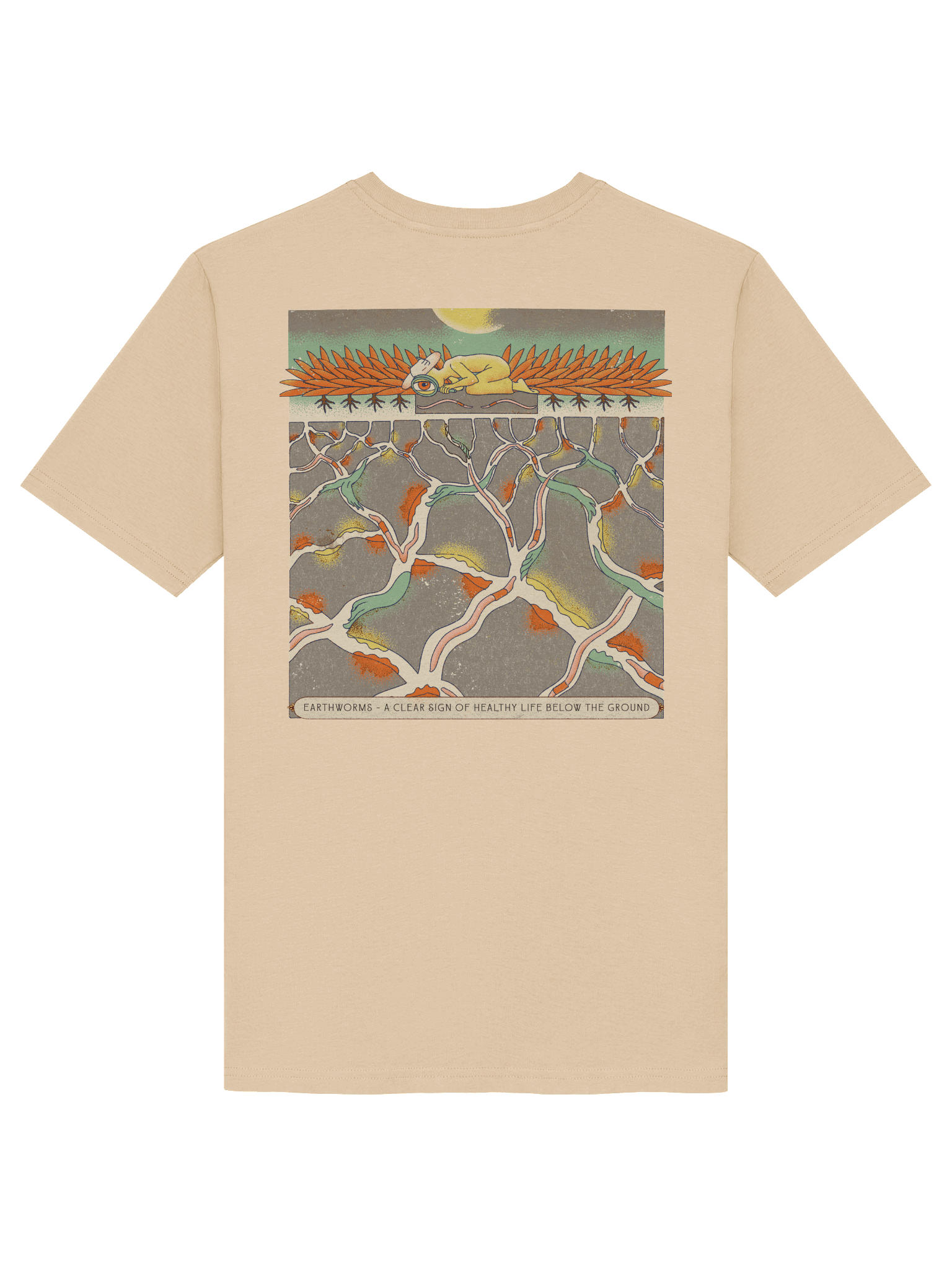 Searching for worms (light colours) product image (19)