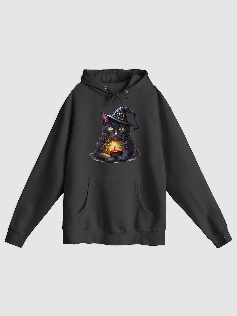 Witchy Cat Hoodie product image (1)