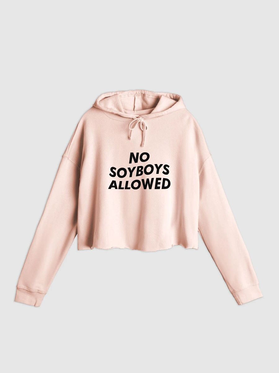 no soyboys allowed cropped hoodie - 80% cotton product image (1)