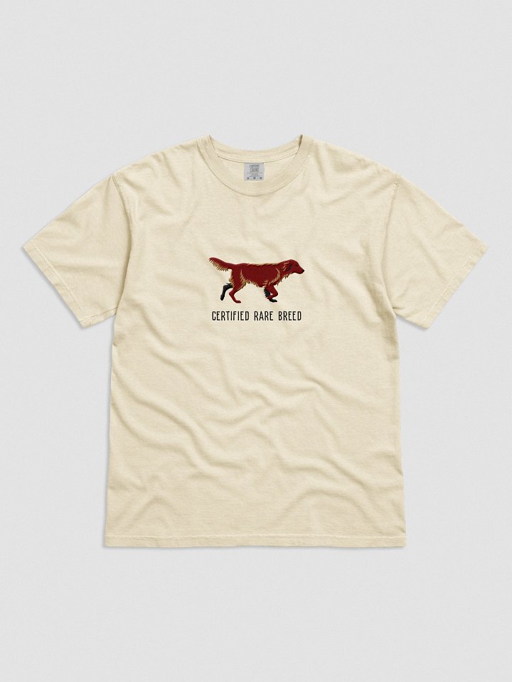 Certified Rare Breed T-Shirt(Embroidered) of a Flat-Coated Retriever(Chocolate) product image (51)