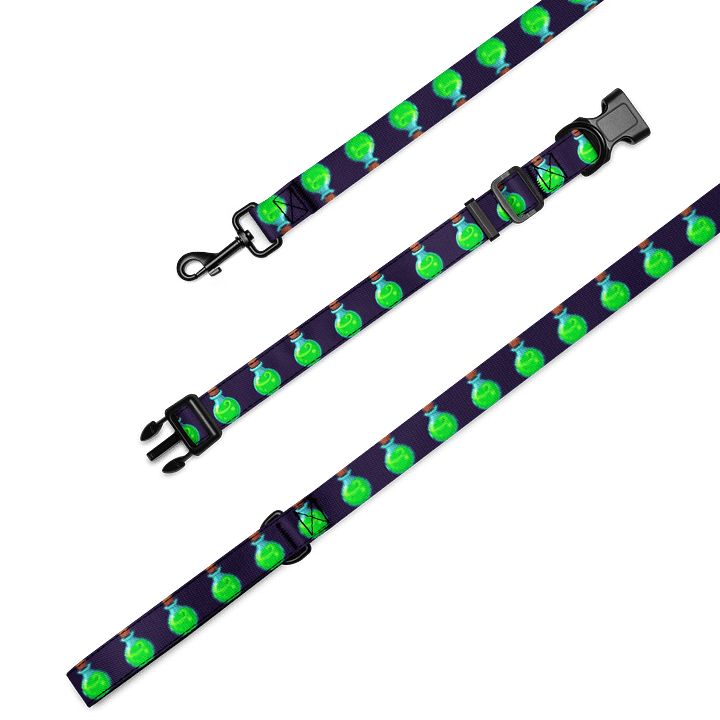 Nebula Pet Collar & Leash Set product image (2)