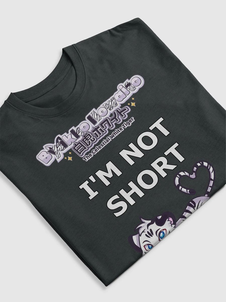 Premium Heavyweight Tee - Byakko Not Short Edition product image (26)