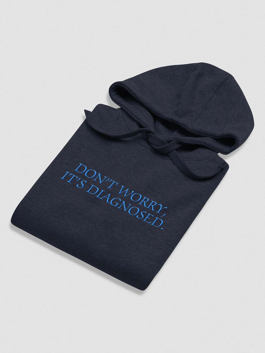 DW, IT'S DIAGNOSED. (monochrome blue) embroidered heavyweight hoodie product image (7)