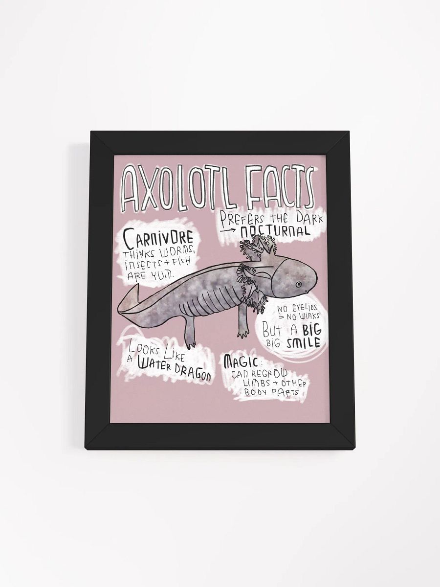 Axolotl Fun Facts, Axolotl Trivia product image (2)