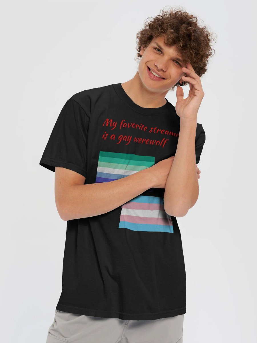 Favorite Streamer Shirt Pride Edition product image (46)