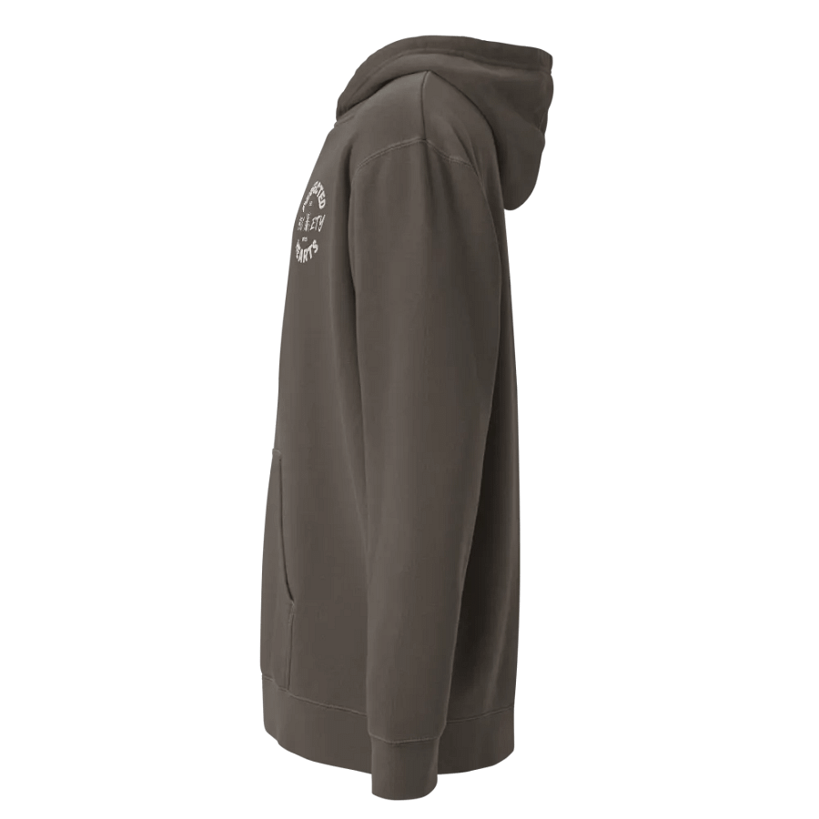 PHS Embroidered Hoodie (BLK) product image (6)