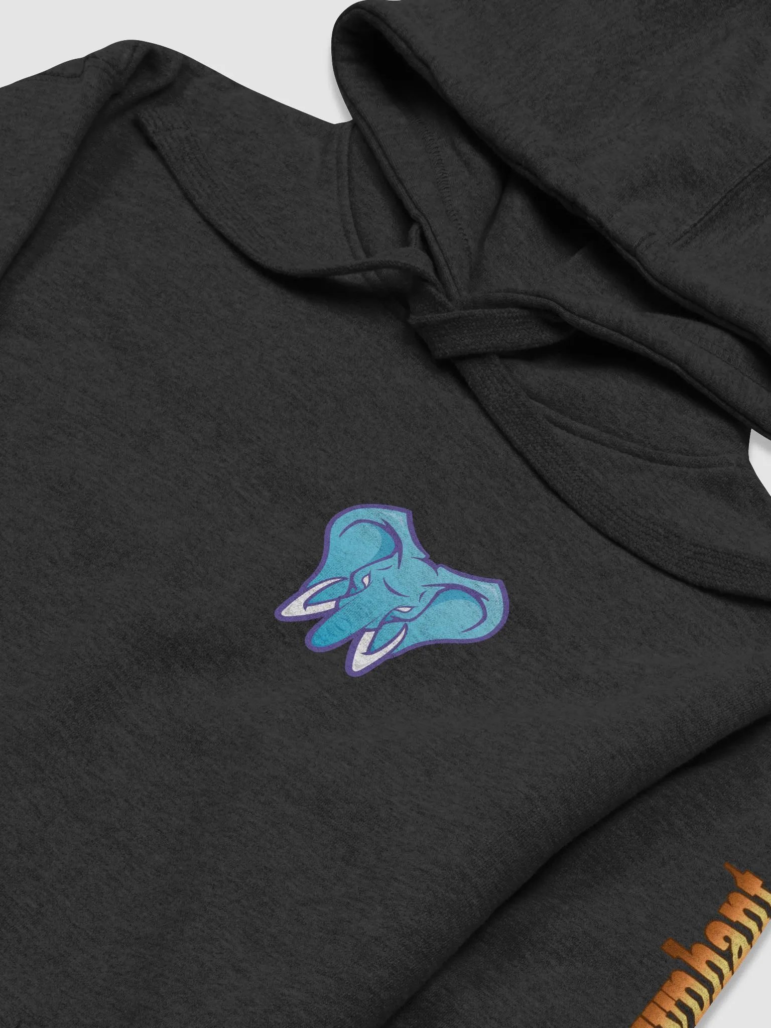 Front & Back Logo - Hoodie product image (3)