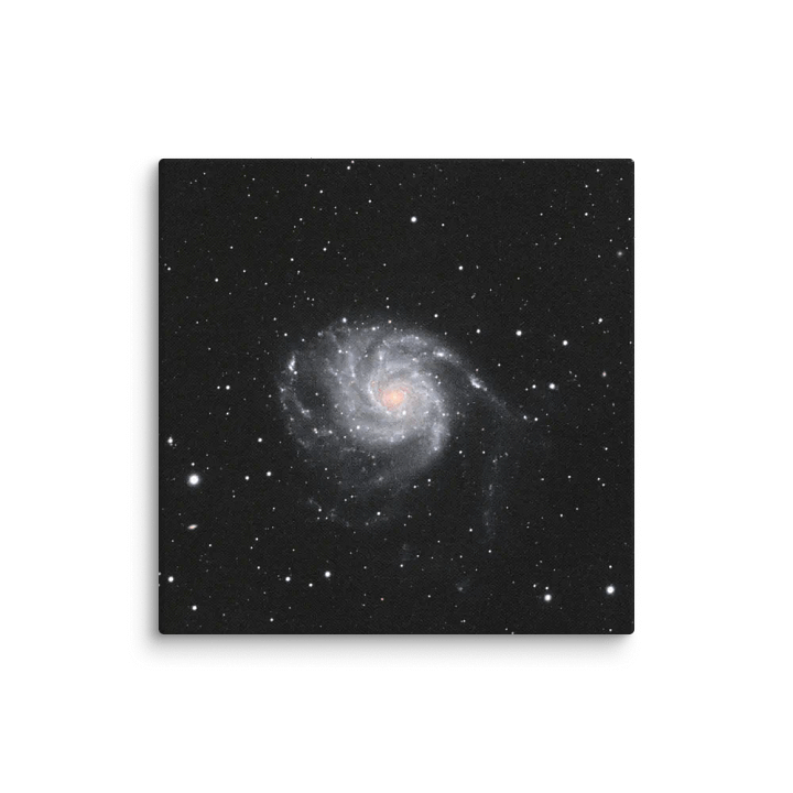 2025 - M101 by Eduardo Glasman product image (4)