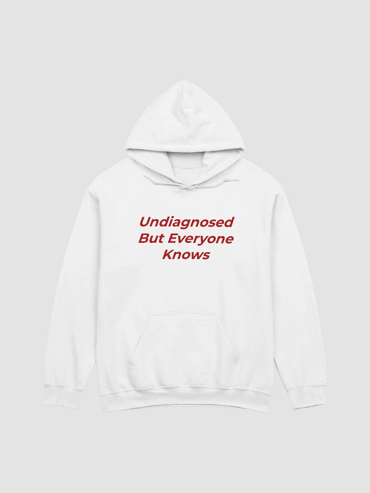 Undiagnosed But Everyone Knows Hoodie product image (1)