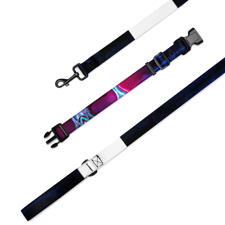 Neon Dreams Pet Collar & Leash Set product image (2)