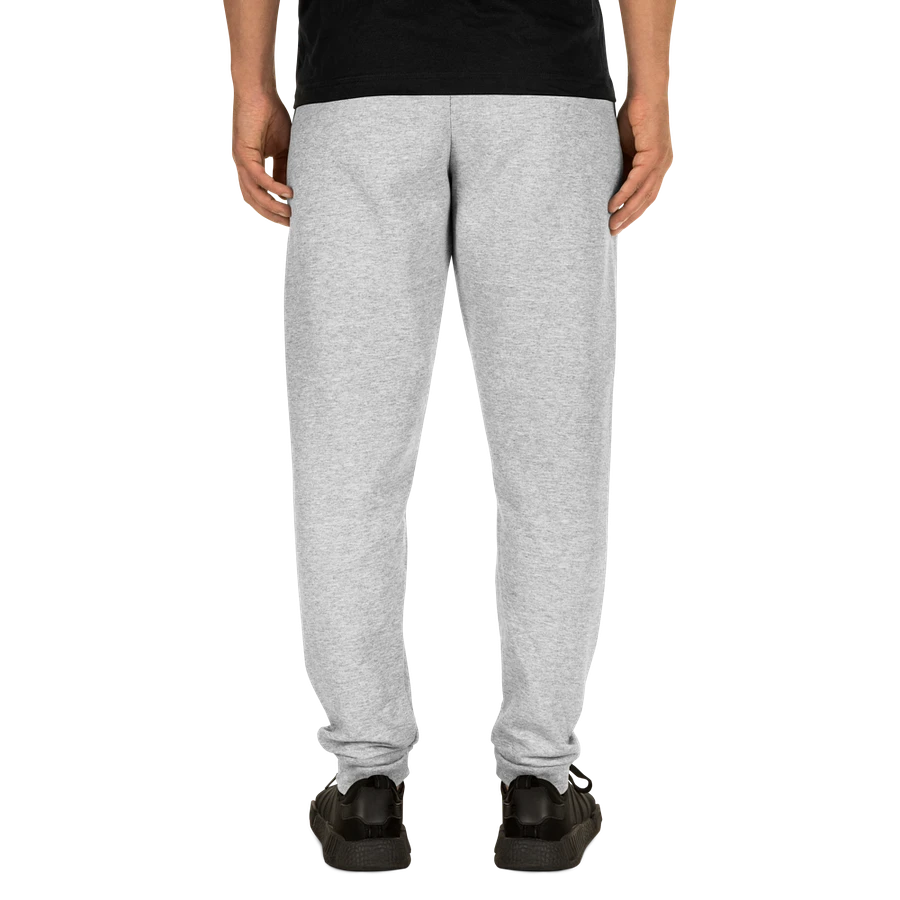 PhynixPC Embroidered Joggers product image (5)