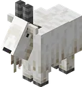 The_Crayy