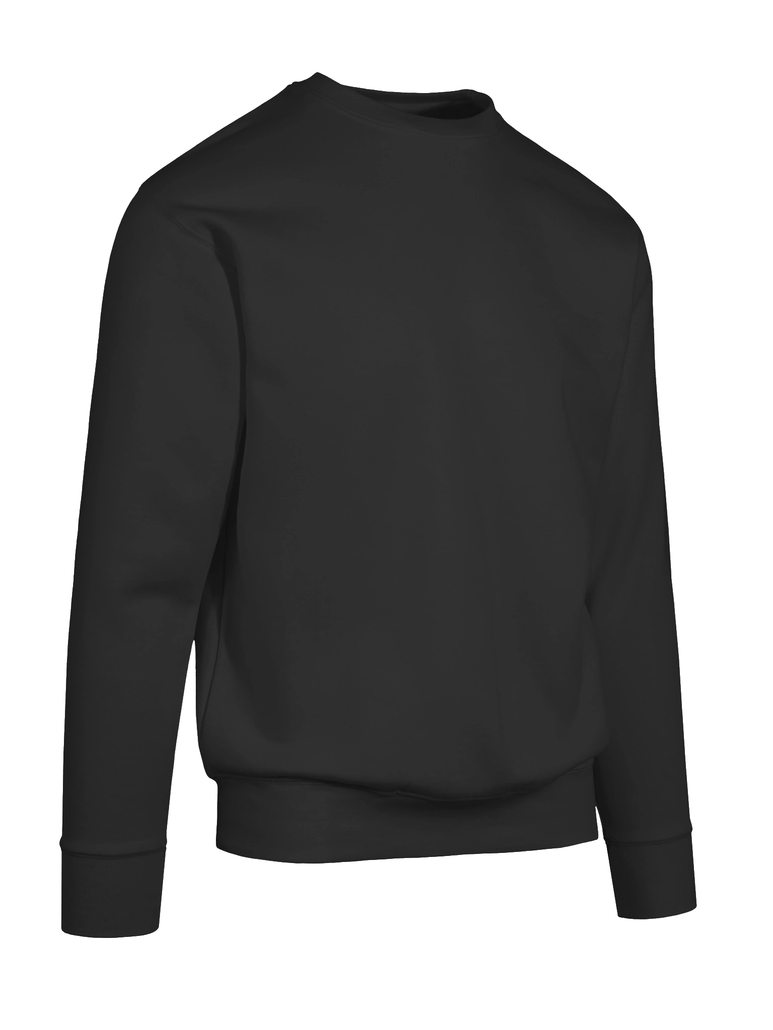 The Corporation Standard-Issue Sweatshirt product image (10)