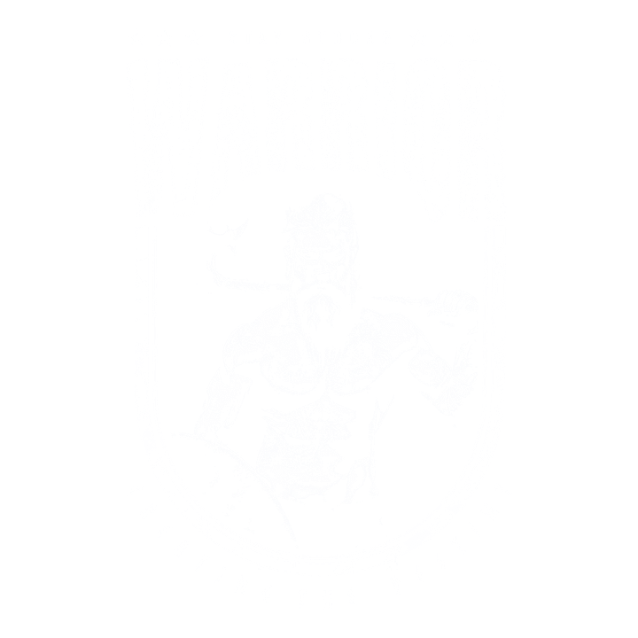 Viking Stay Strong product image (1)