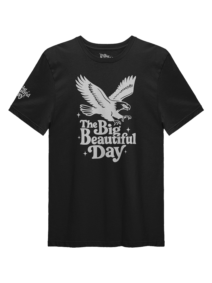 Soaring Big Beautiful Day Tee | Brand Next Level product image (1)